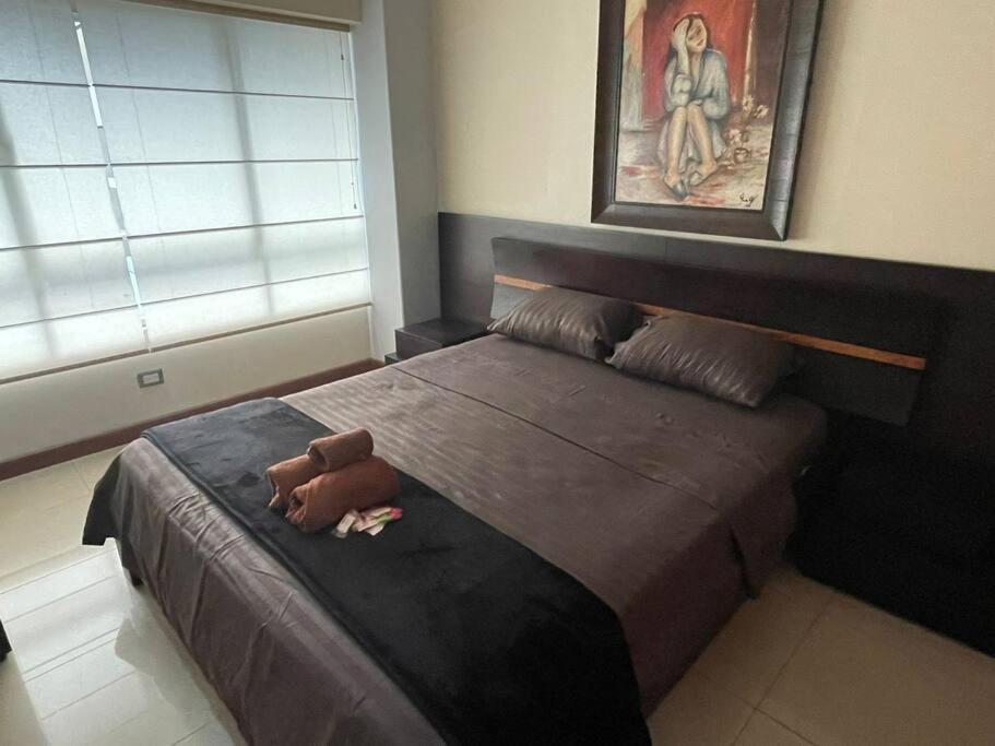 Suite 211 كويتو المظهر الخارجي الصورة